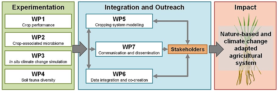 The integrated research and outreach approach of NAPERDIV with expected impact on the development of nature-based and climate change adapted food production systems.